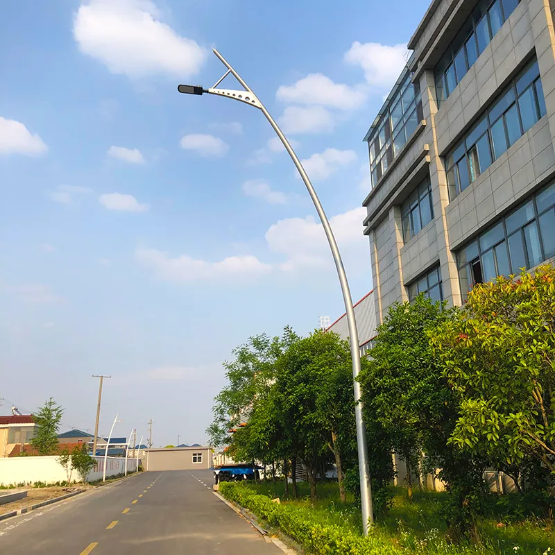 Aluminum Arc Shape Light Pole